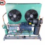 Optimal Temperature Control HIGHLY Rotor Inverter Compressor Condensing Unit for 0-10c and -15--25c Temperature for sale