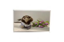China 18.5 Inch Lcd Panel Tft Monitor High Tni Outdoor Machine supplier