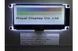 China Custom FSTN/Stn 240X80 DOT 3.3V Positive Transflective ST7529 Cog LCD Display supplier