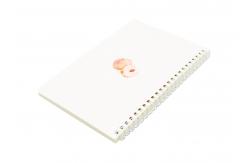 China Art diy Spiral Bound Book custom spiral binding book printing supplier
