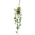 Green And White Anti UV Artificial Foliage Leaves 70cm Height for sale
