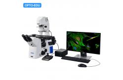 China Opto Edu A16.1097 Lcd Touch Screen Fluorescence Stereomicroscope supplier