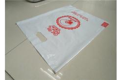 China Plastic Shopping Bags With Handles , Custom Plastic Merchandise Bags supplier