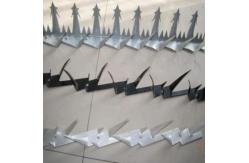 China Single Razor Sharp Block Wall Security Spikes PVC Coated supplier