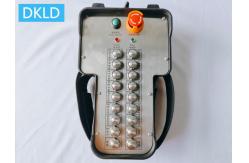 China 18 Way Explosion-Proof Industrial Remote Control supplier