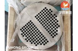 China EN10028 1.4541 (F321) Stainless Steel Heat Exchanger Tubesheet PT UT supplier
