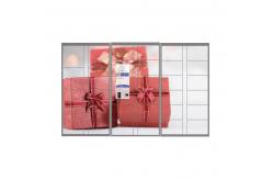 China CRS Mail Parcel Delivery Lockers With Remote Control Function App Integration supplier