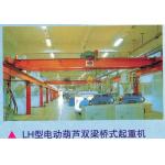 3~20t LH Type Double Girder Overhead Crane With Electric Hoist for sale