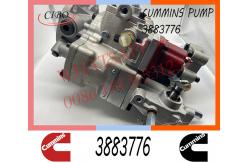 China Cummins  NT855 M11 Diesel Engine Fuel Injection Pump 3883776 4951390 supplier