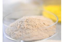China Food Grade Thermostable Alkaline Protease Bioenergy Enzyme Food Enzyme supplier