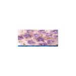 2.4 Inch H240QN02 V1 166PPI LCD Screen For AUO for sale