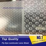PLASTIC LENTICULAR fly eye lens microlens film sheet 3d plastic lenticular lens material for 3d lenticular printing for sale