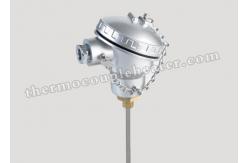 China Mineral Insulated Thermocouple RTD Pt100 Pt1000 Sensors With Thermowell supplier
