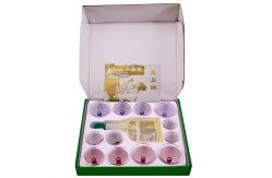 China Double Transparent Cupping Cups Set Plastic Manual Suction Hijama Cupping Set supplier