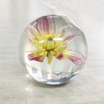 Popular Flower Paperweight Ball Personalized Crystal Paperweight for sale