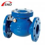 Flanged Cast Iron Swing Check Valve Customized For Liquefied Gas