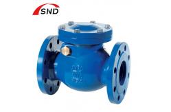 China Flanged Cast Iron Swing Check Valve Customized For Liquefied Gas supplier