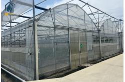 China Multi Span Greenhouse System For Tomatoes And Peppers Maximize Crop Yield supplier