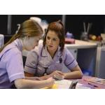Professional  Social Responsibility Audit Safe Working Conditions Global Team Support for sale