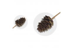 China 9cm Dcorative Bamboo Pine Cones Food Fruit Picks supplier