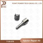 7135-576 Delphi Injector Repair Kit For Injector 28236381 Nozzle Valve Kit for sale