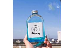 China Customized Logo PET 400ml 500ml juice bottle supplier