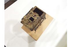 China Full Screen 2.4 inch HD Infrared Hunting Camera Outside Cellular Trail Camera supplier