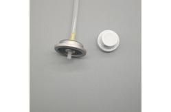 China Delicate Facial Water Sprayer Valve for Beauty Lovers  with Adjustable Mist Output supplier