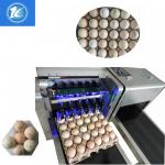 Egg Jet Printer / Food Edible Ink Printer For Chicken Farm With Silver Conveyor for sale