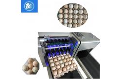 China High Precision Expiration Date And Customizable Style For Egg Printing Machine supplier