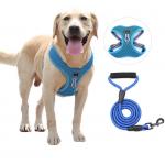Polyester Collar Lead Harness Set for sale