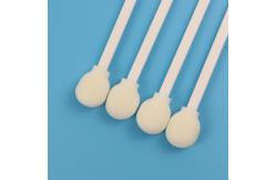 China White PP Stick Medical Devices Cleaning Foam Tip Swab quick absorption supplier