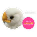 White Headed Eagle Stuffed Plush Toys 100% Pp Cotton 30cm Or Customized