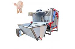 China 380V 50HZ Pig Dehairer And Scalding Machine Pig Dehairing Machine supplier