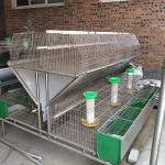 50~80 Babies Farm Rabbit Cage Commercial Rabbit Breeding Cages for sale