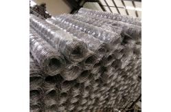 China Galvanized Page 2.3m Woven Wire Mesh For Hinge Joint Field Fence supplier