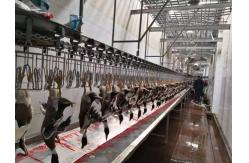 China Chicken Goose Turkey Duck Slaughter Machine 1000BPH Poultry Processing Machine supplier