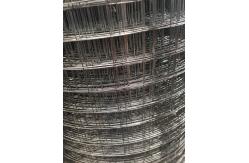 China Construction 1 Inch 1mx30m Electro Galvanized Welded Wire Mesh supplier