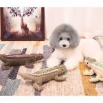 Plush Tough Chew Toys , Bite Resistance Dog Toothbrush Chew Toy 34 * 20 * 8CM for sale