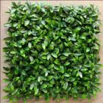 PE Artificial Grass Panels Eco Friendly For Room Decoration And Cafe Beautification for sale