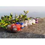 Disposable Plastic Shakers For Seasonings Of Salt And Black Pepper Taste Enhancing Portable for sale