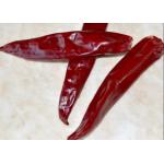 China Marinades Dried Jinta Chilli Dried Red Peppers Hot Paprika for sale