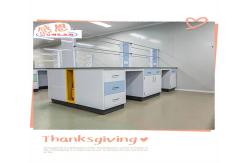 China Durable Lab Wall Benches With Customizable Options And Powder Coating supplier