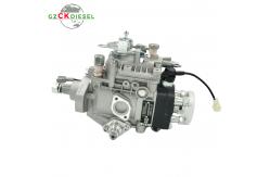 China VE4 Fuel Injection Pump 096000-4940 10F2050RND494 22100-54860 supplier