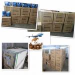 Ultra Purified Water System Machine 10L/H 20L/H 40L/H 60L/H