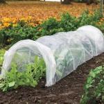 Anti UV PE Plastic Agricultural Mulch Film For Greenhouse 30-100m/Roll