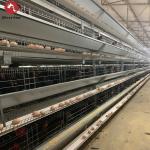 H Type Quail Layer Chicken Cage Chicken Egg 10 Tiers for sale