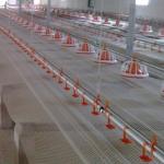 304 SS Broiler Breeder Farm Nipple System In Poultry Farm for sale