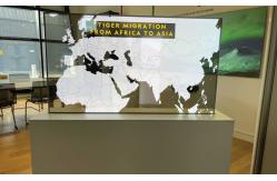 China Desktop OLED Transparent Display Wireless Transparent OLED Monitor supplier