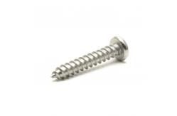 China Custom Non Standard Fasteners Stainless Bolts Screws Rivets Nails supplier